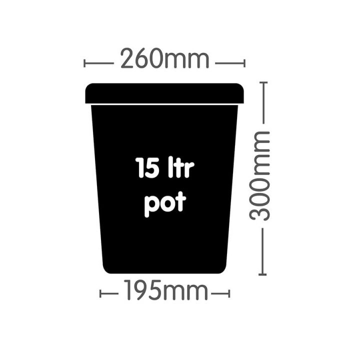 Pot Square (Black) 15L