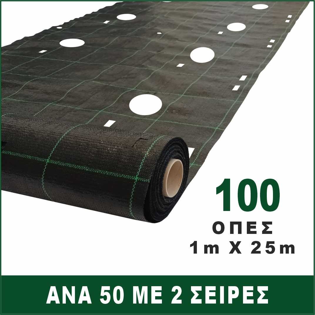 Ύφασμα εδαφοκάλυψης με τρύπες Φ80 ανά 50cm (1m)