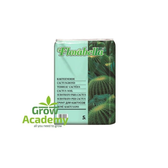 Florabella Cactus 5lt