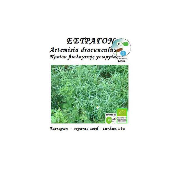 Εστραγκον Artemisia Dracunculus