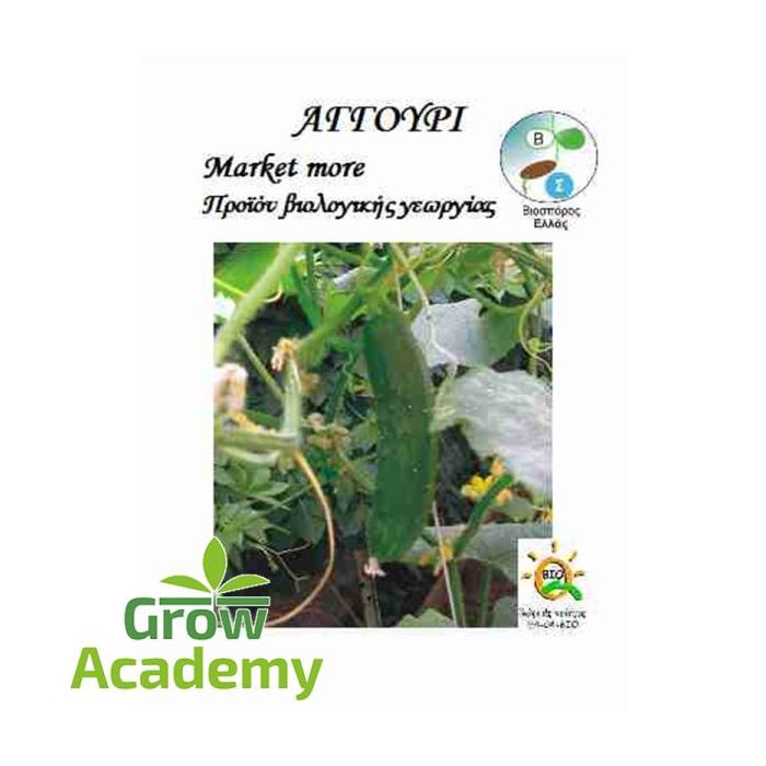 Αγγουρι Market More (2gr)