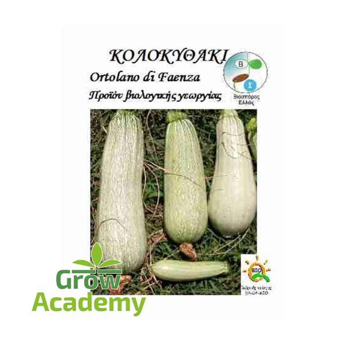 Κολοκυθακι Ortolano Di Faenza (2gr)