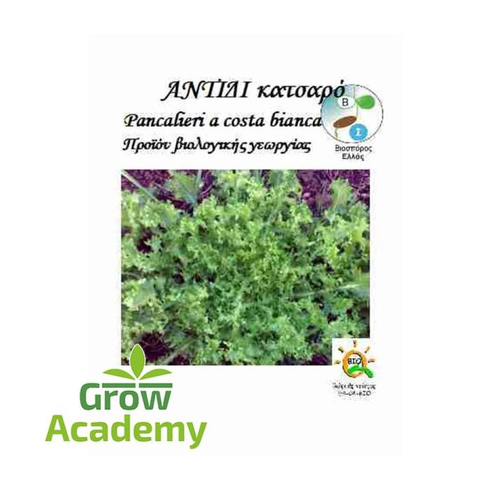 Αντιδι Κατσαρο Pancalieri A Costa Bianca (5gr)