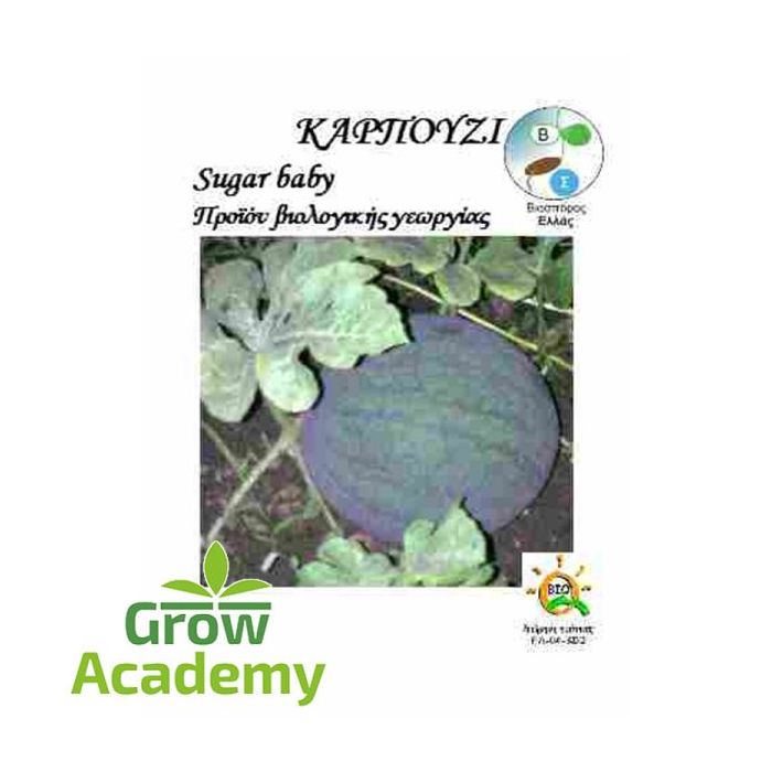 Καρπουζι Sugar Baby