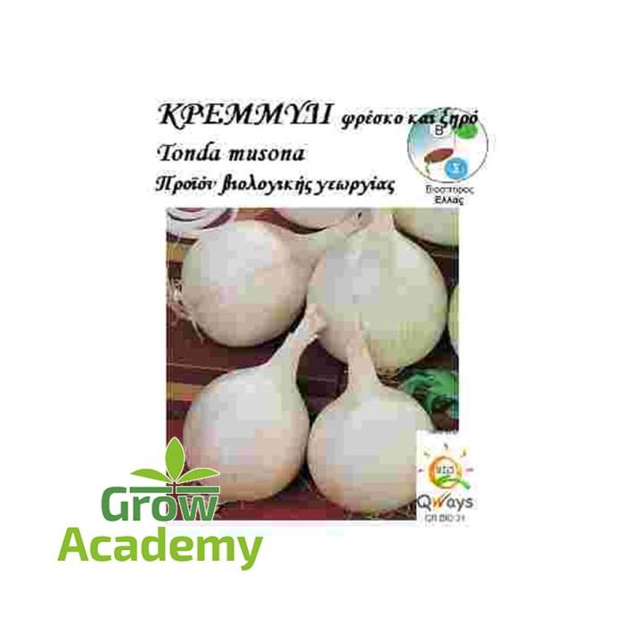 Κρεμμυδι Tonda Musona (ασπρο) (1gr)