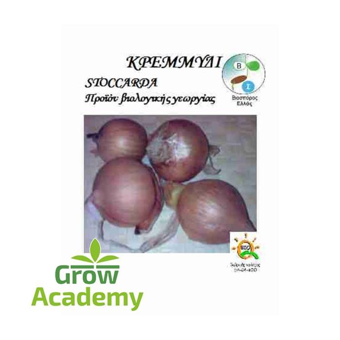 Κρεμμυδι Stoccarda (1gr)