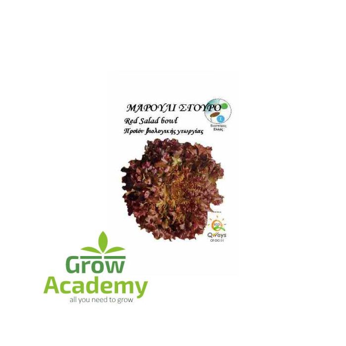 Μαρουλι Κοκκινο Σγουρο Red Salad Bowl (3gr)