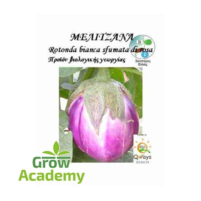 Μελιτζανα Bianca Sfumata Di Rosa (Ροζ Φλασκα)