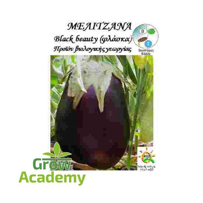 Μελιτζανα Black Beauty (0.3gr)
