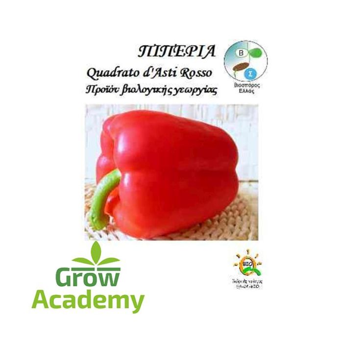 Πιπερια Peperone Quadrato Du Asti Rosso