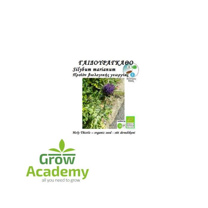 Γαιδουραγκαθο Silibum Marianun 1gr