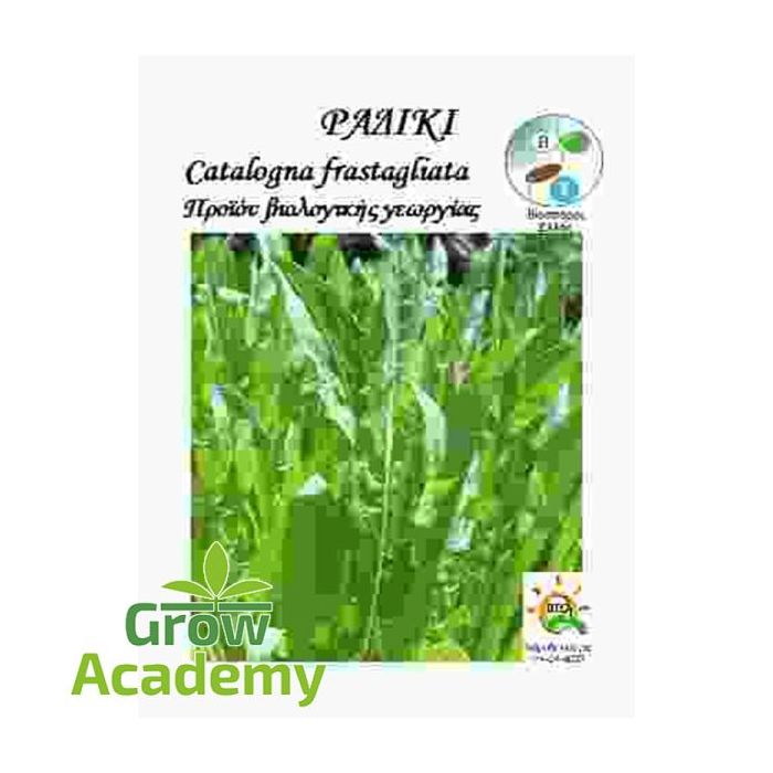 Ραδικι Catalogna Frastagliata Αγριο (5gr)