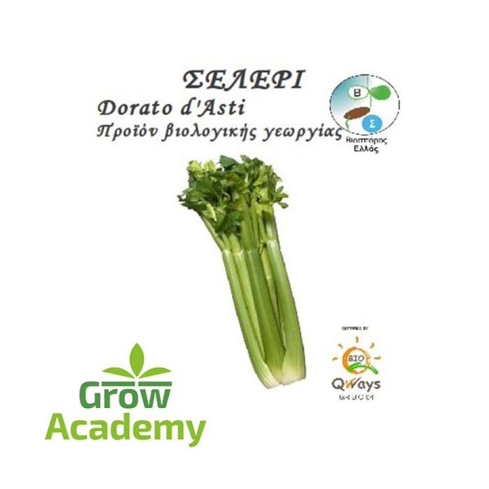 Σελερι Dorato D'Asti (1gr)
