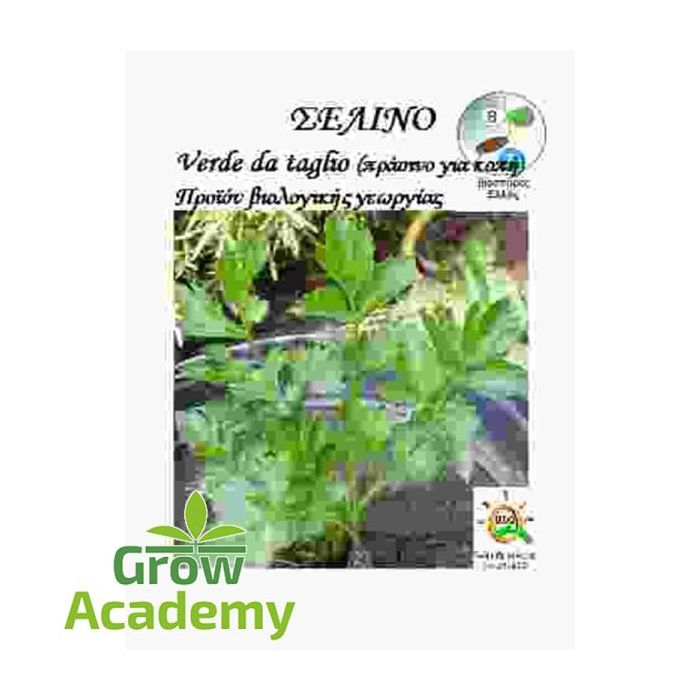 Σελινο Verde Da Taglio (0.5gr)