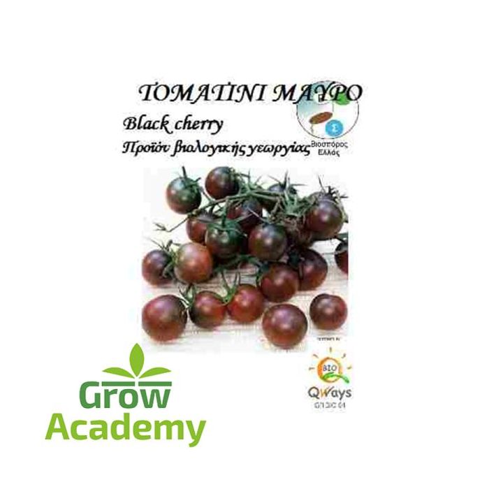 Τοματινι-Κερασι Black Cherry