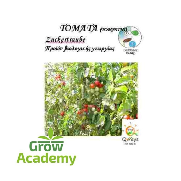 Τοματινι-Κερασι Zuckertraube (Γλυκο Τσαμπι)