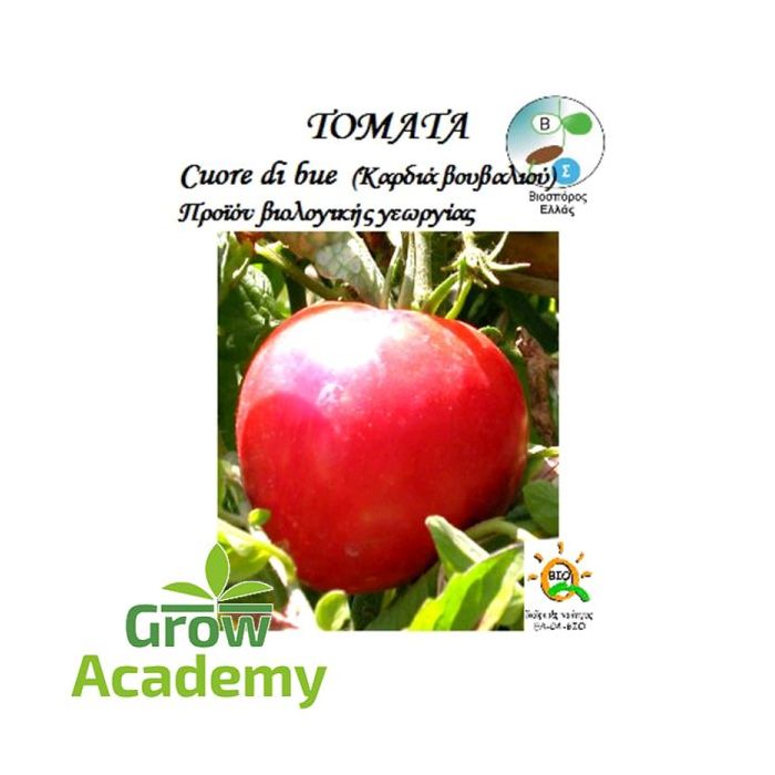 Τοματα Επιτραπεζια Cuore Di Di Bue