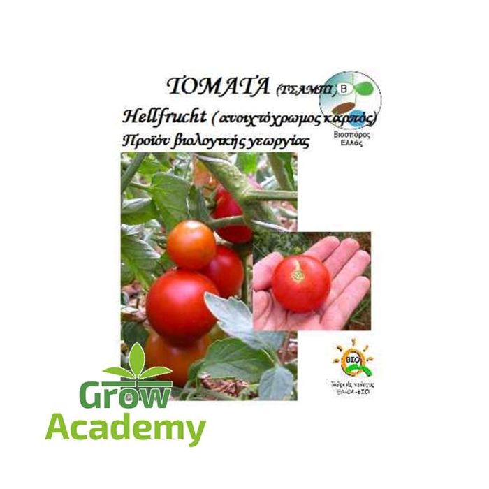 Τοματα Επιτραπεζια Hellfrucht (Τσαμπι)