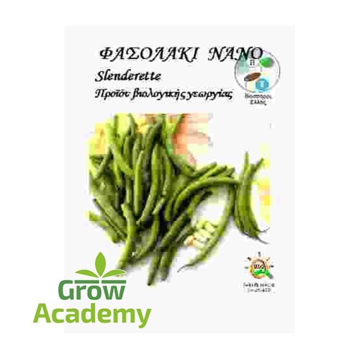 Φασολακι Νάνος Για Σαλατα Nanus Slenderette
