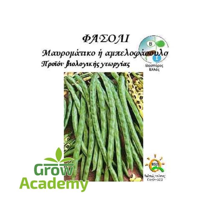 Φασολι Μαυροματικο Vigna Sinensis