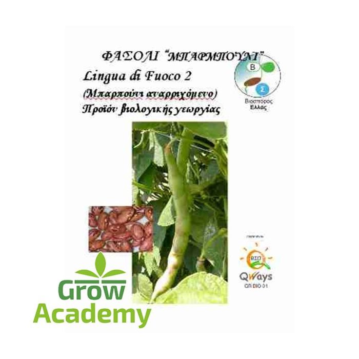 Φασολακι Αναρριχωμενο Lingua Di Fuoco