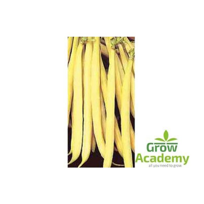 Αμπελοφασουλο Dolichos Sesquipedalis