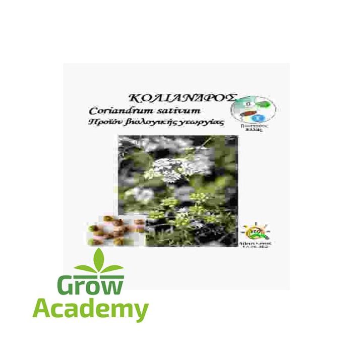 Κολιανδρος Coriandrum Sativum (1gr)