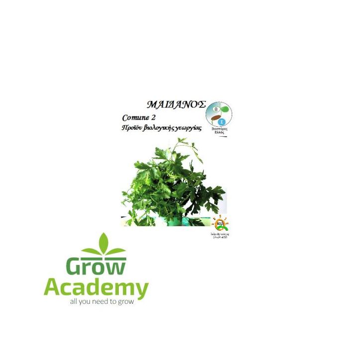 Μαιντανος Μικρος Comune (3gr)