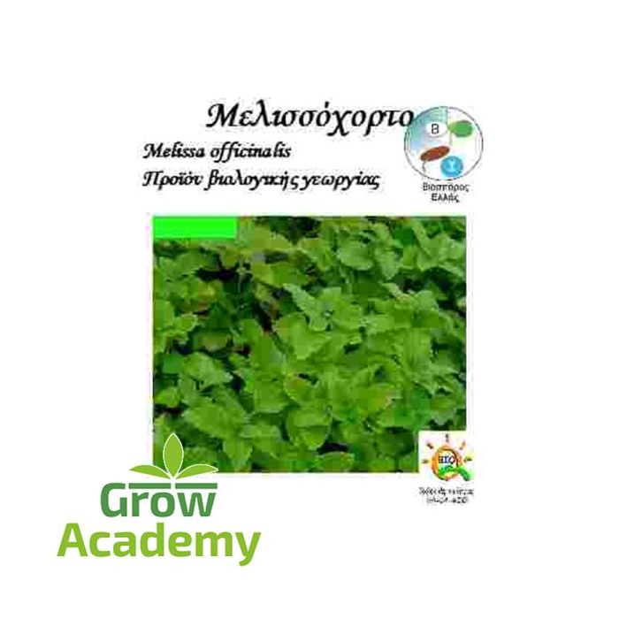 Μελισσοχορτο Melissa Officinalis (0.3gr)