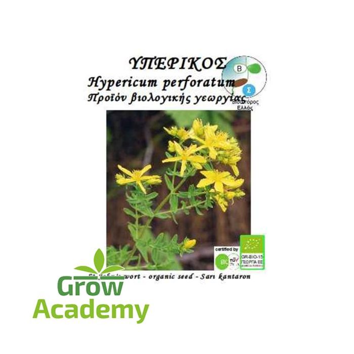 Υπερικος η Βαλσαμο Hypericum Perforatum