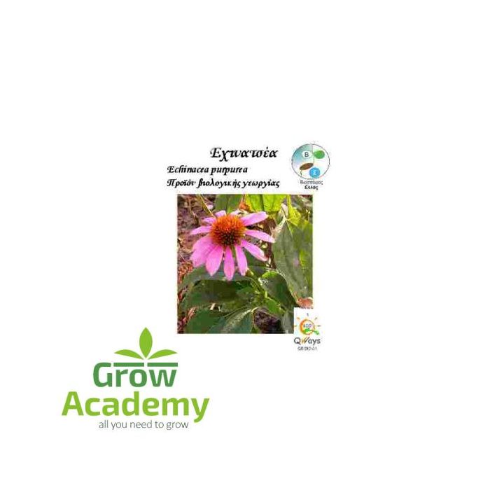 Εχινατσεα Echinacea Purpurea 0.3gr