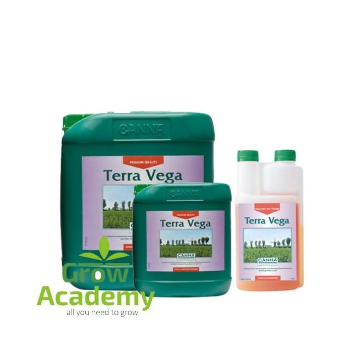 Canna Terra Vega
