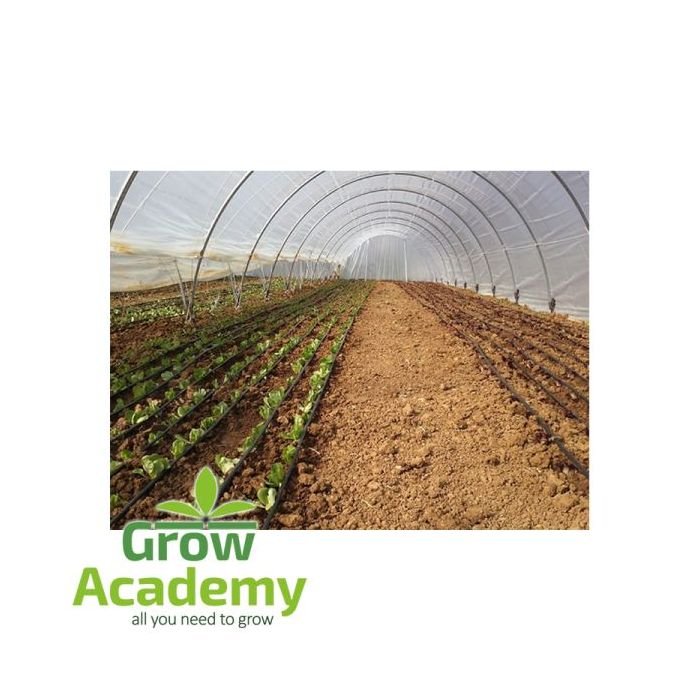 Θερμοκηπια Greenbow