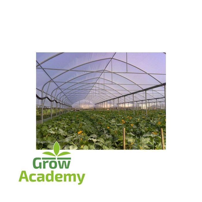 Φιλμ Θερμοκηπιου Eurostar