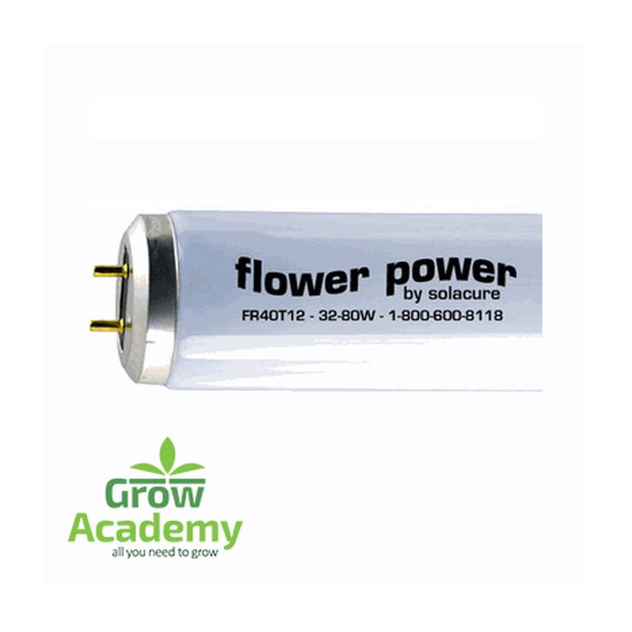 Solacure Flower Power