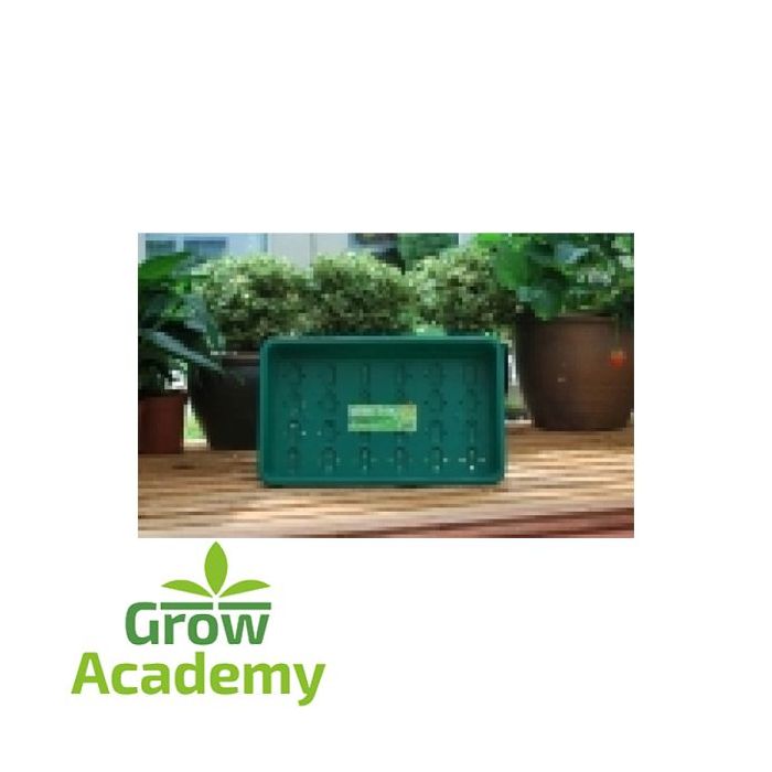 G17 Standard Seed Tray Green