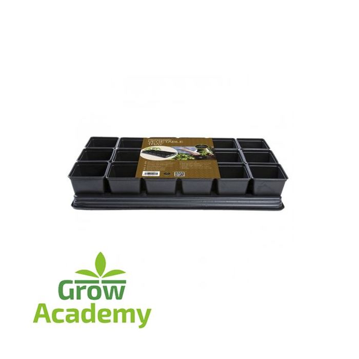W62 Professional Vegetable Tray (18x9 cm Sq Pots)