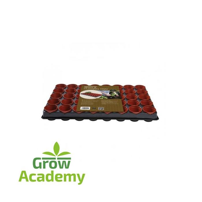 W50 Professional Seed And Cutting Tray (40x6 cm P