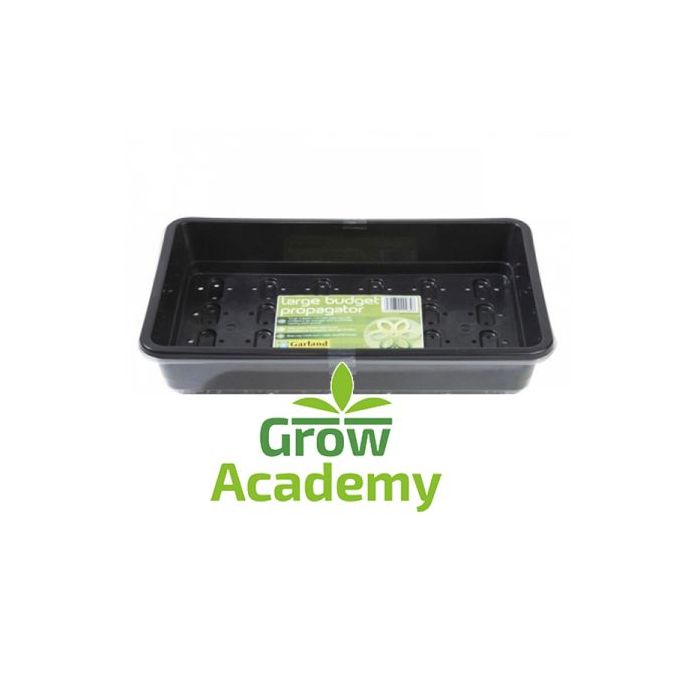 G135 Large Budget Propagator