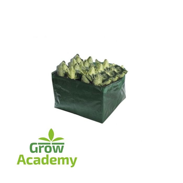 W506 Vegetable Bag