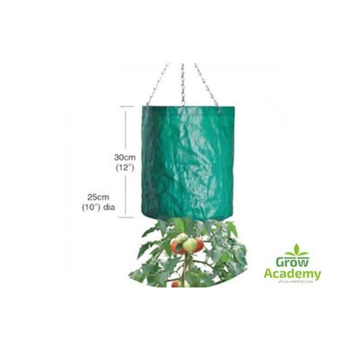 W514 Hanging Tomato Bag