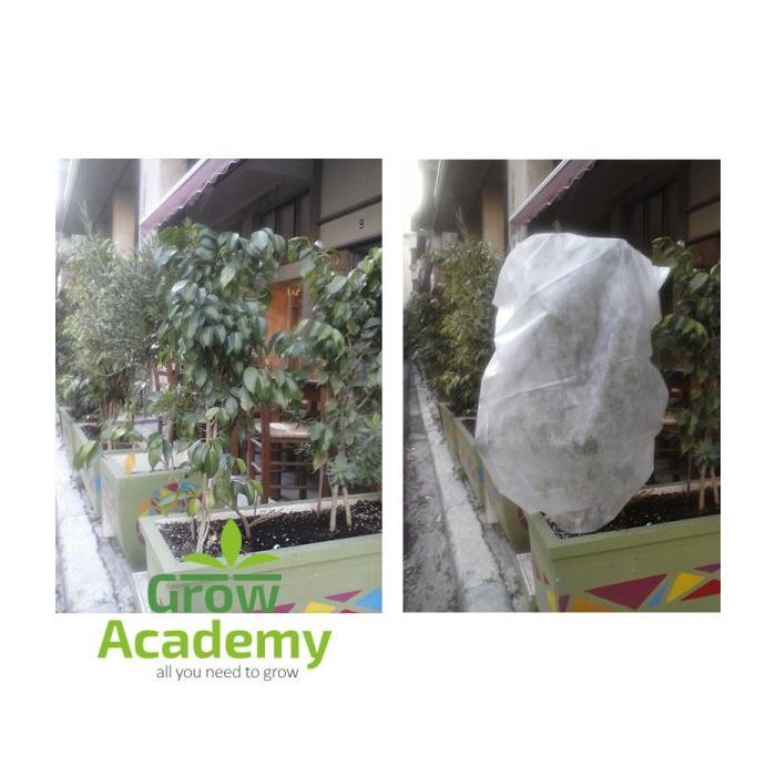 Αντιπαγετικο Υφασμα 18G 1.60x1.30 m