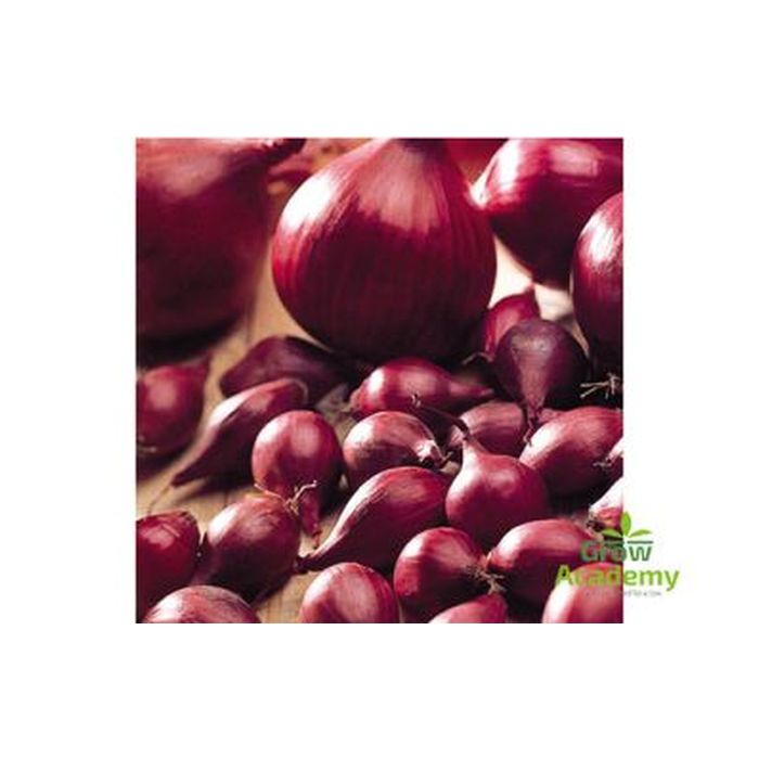 Κοκκαρι Κοκκινο 8/21 (500 gr)