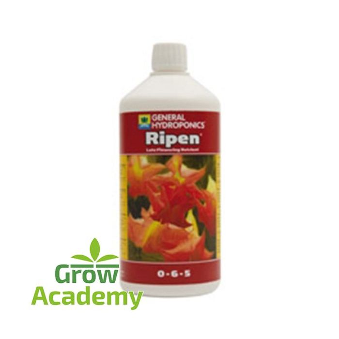 Final Part (Ripen) 1lt