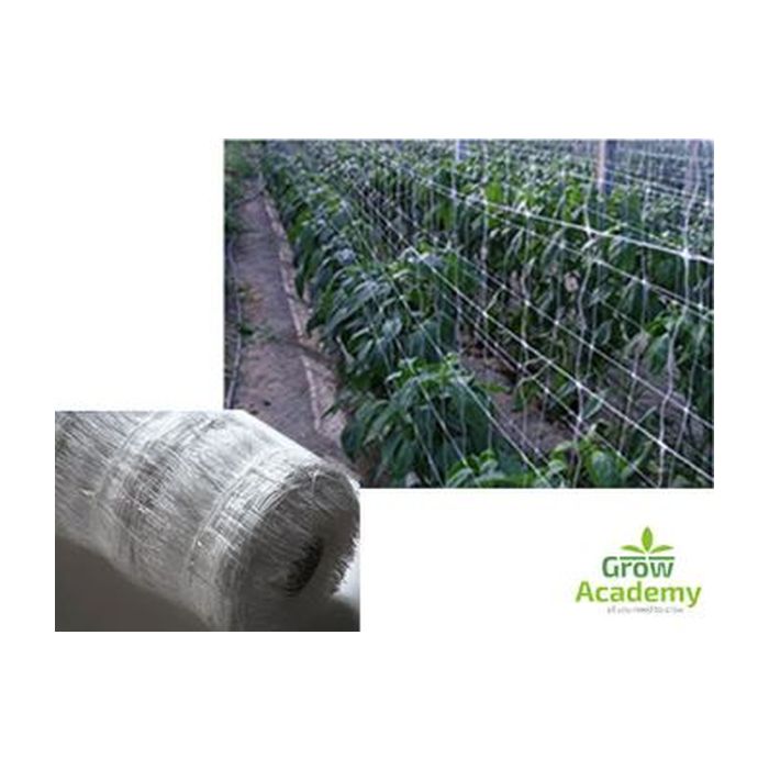 Διχτυ Αναρριχησης Λευκο 2m