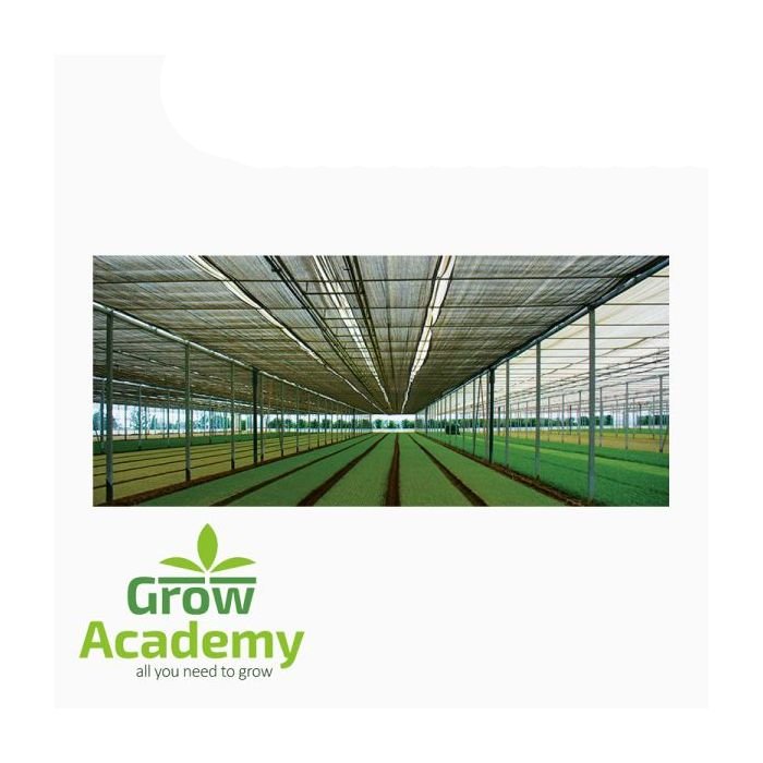 Διχτυα Σκιασης