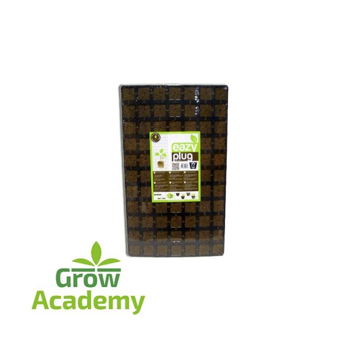 Eazy Plug Ct77 Dried