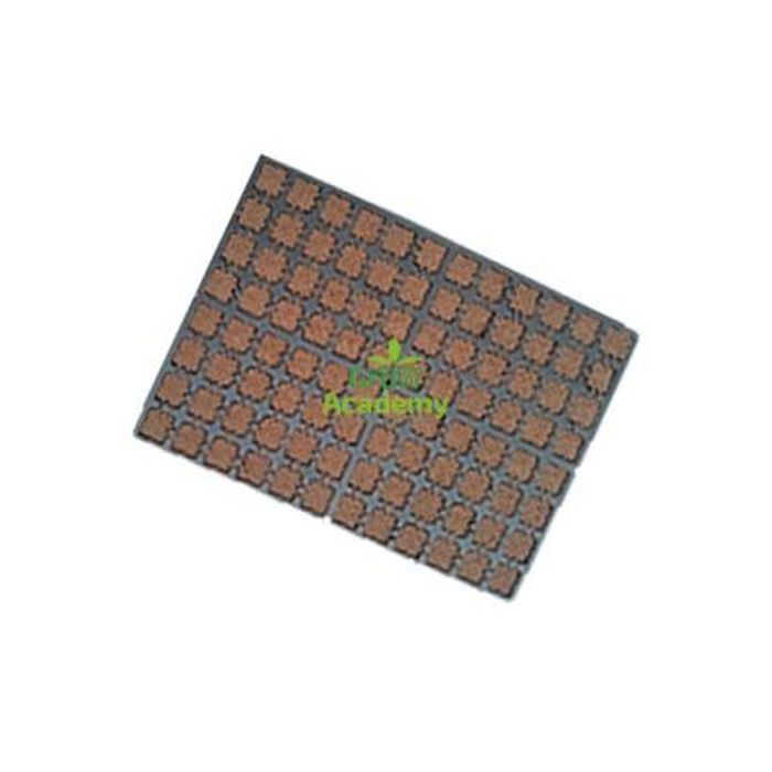 Eazy Plug Ct104C Dried