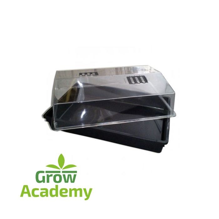 Propagator64 60x40x25 cm Indiv.Packed