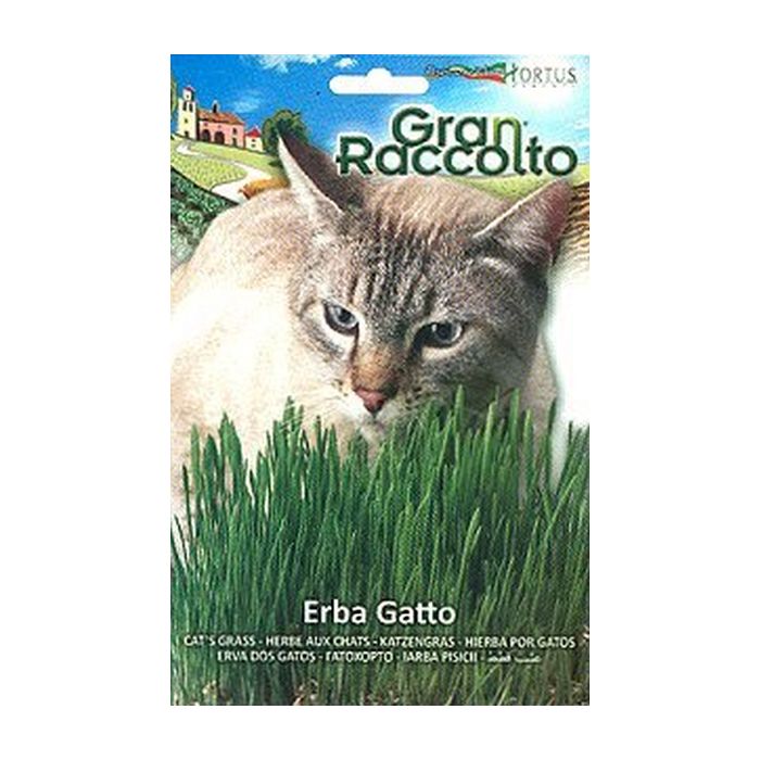 Σποροι Χορτου για Γατες σε Φακελο 25gr